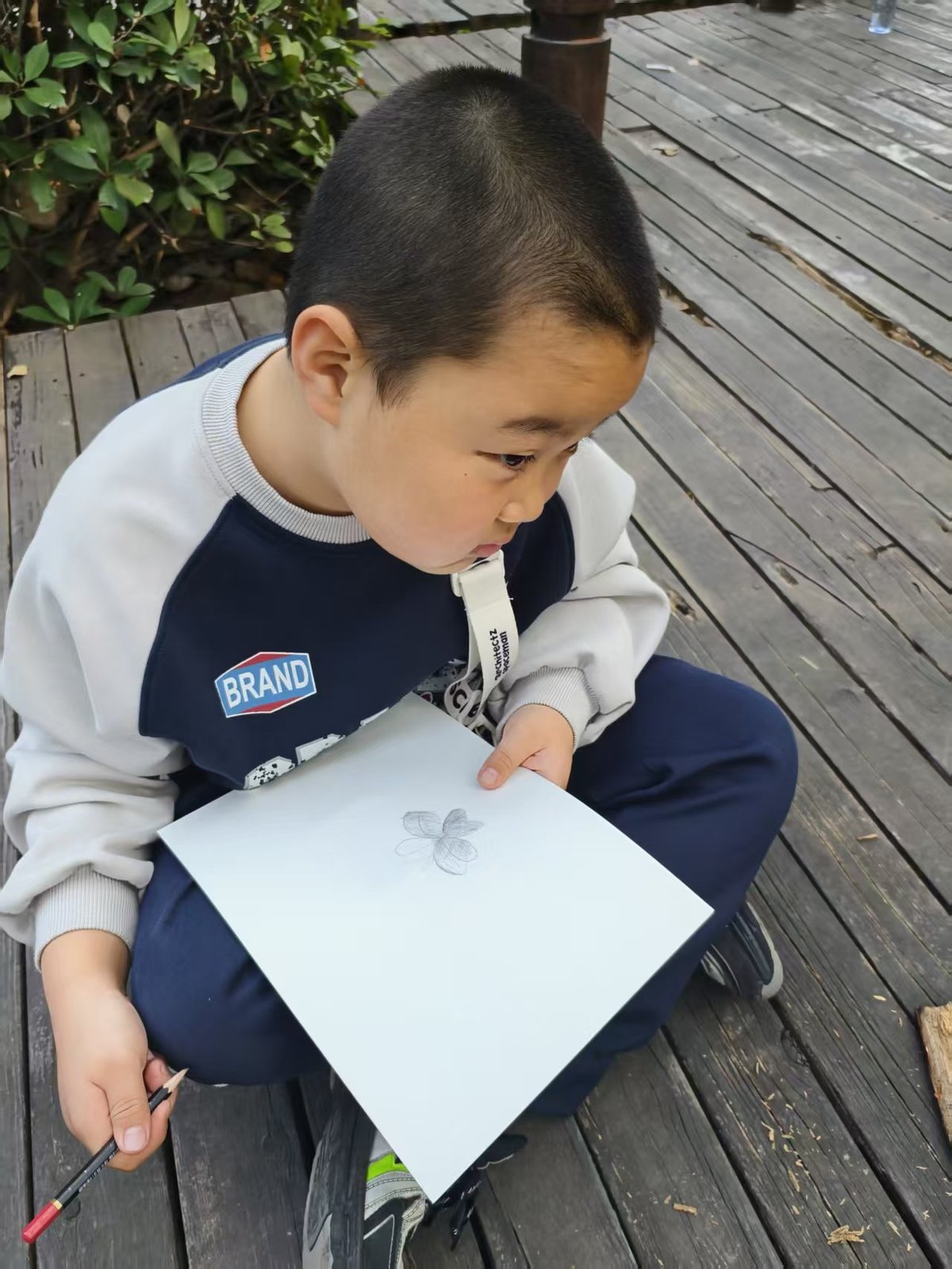 学员专注作画