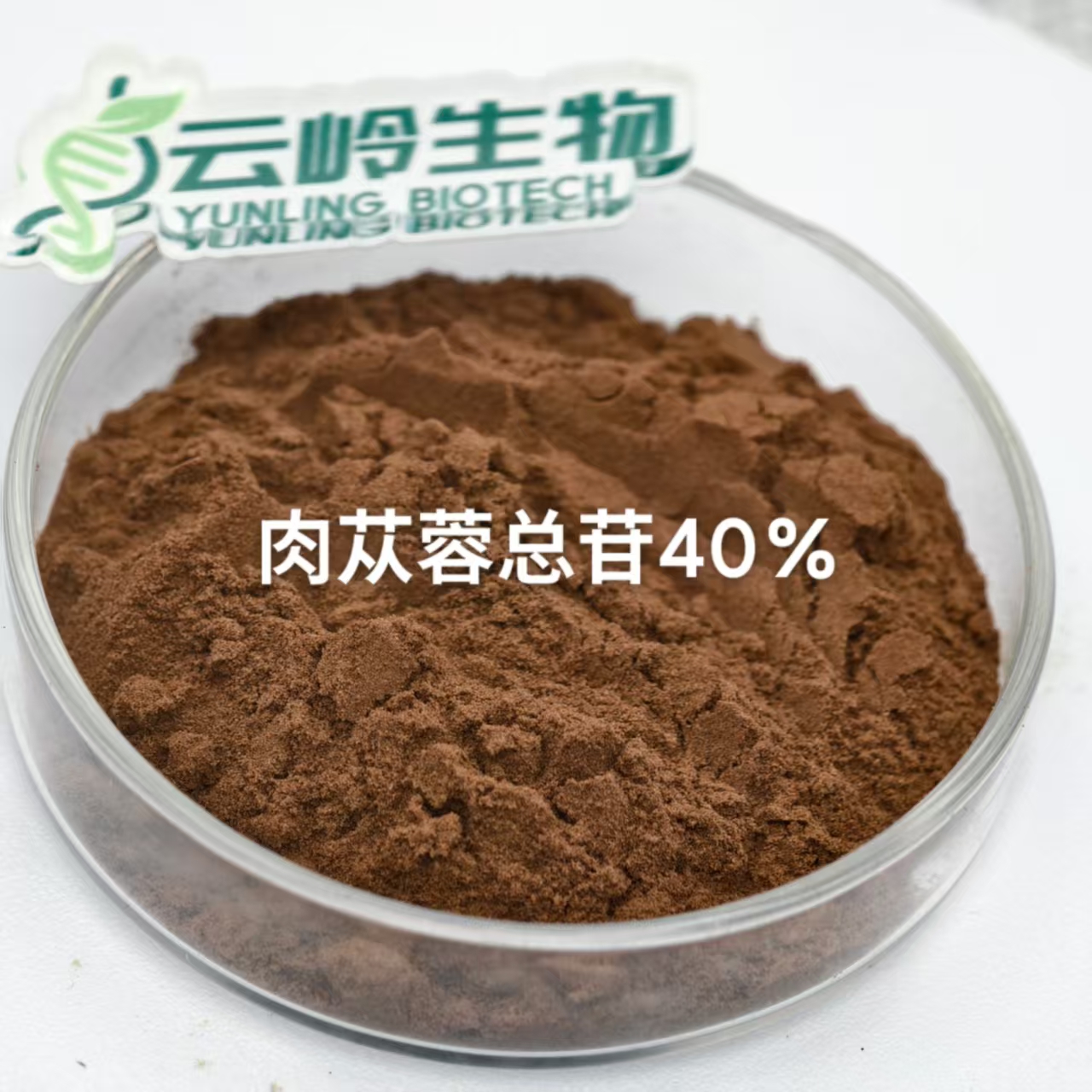肉苁蓉提取物